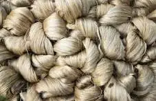 jute image websit 5.1